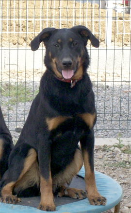 Féria Des Frontières Du Sud